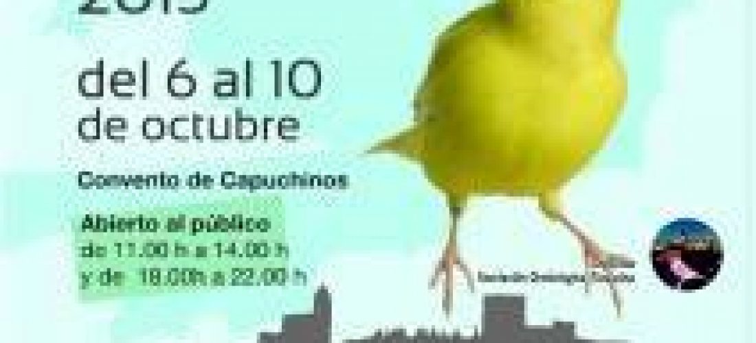 Exposición del 6 al 10 de Octubre en Alcalá la Real