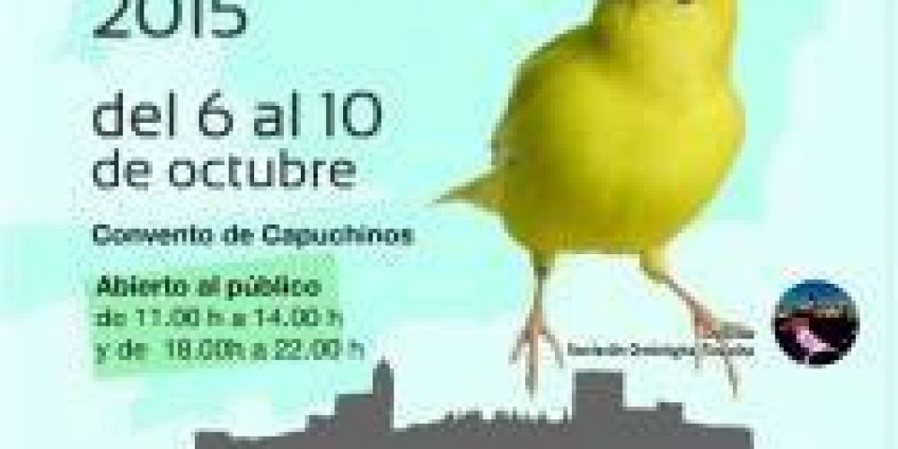 Exposición del 6 al 10 de Octubre en Alcalá la Real