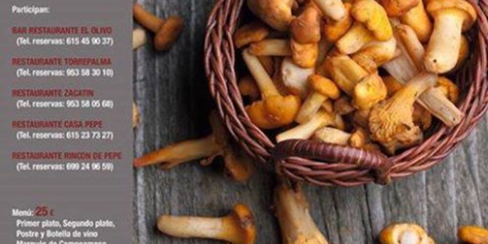 I JORNADAS GASTRONOMINCAS DEL 29 DE OCTUBRE AL 15 DE NOVIEMBRE